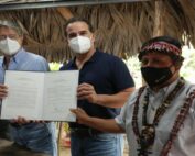 transición ecológica