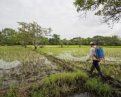 paro nacional del movimiento campesino