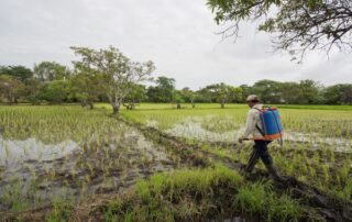 paro nacional del movimiento campesino