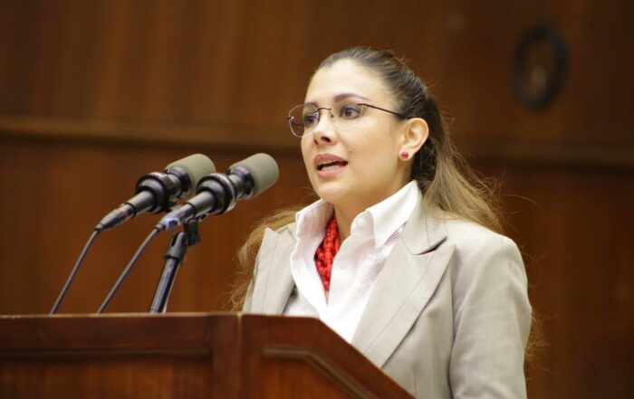 Valentina Zárate compareció ante la Comisión de Fiscalización