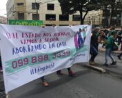 acompañamiento para aborto seguro