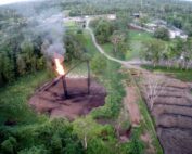 compensaciones por pérdida de biodiversidad