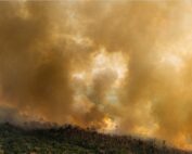 Incendios en la Amazonía en 2020