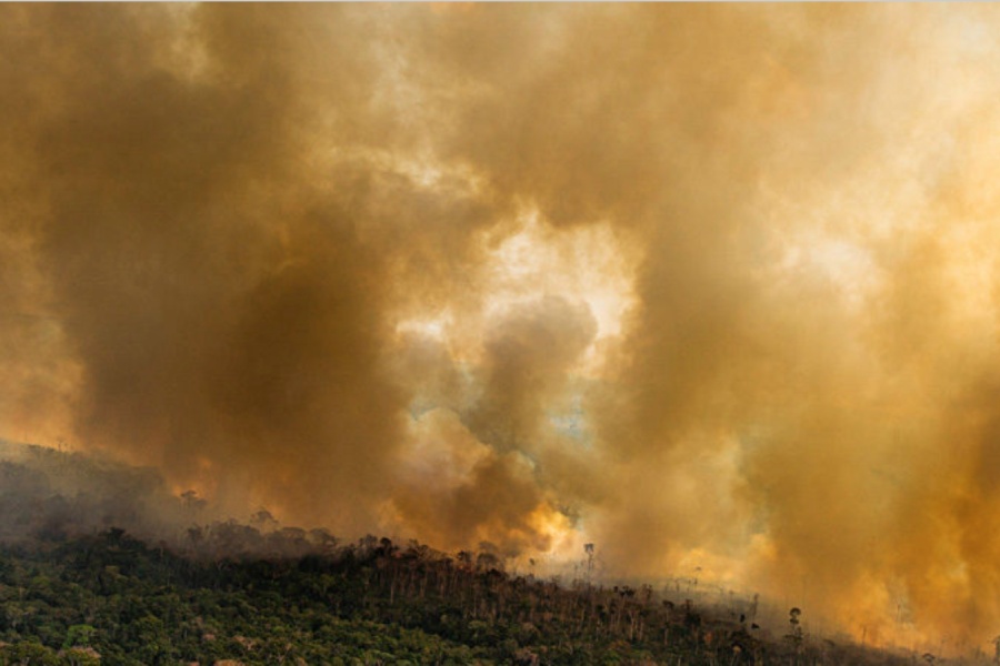 Incendios en la Amazonía en 2020