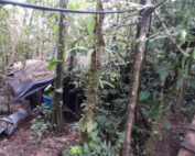 otro laboratorio de coca&iacute;na desmantelado