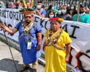 nacionalidad Siekopai