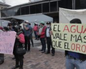 amnistía para defensores de la naturaleza