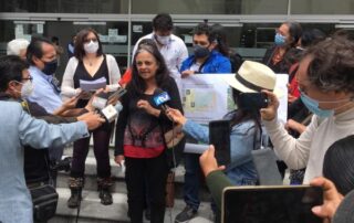 construcción de una carretera en el Yasuní