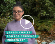 derechos de los pueblos y nacionalidades indígenas