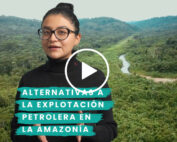 emprendimientos sostenibles de la Amazonía