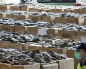 política ambiental china