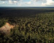 cambios de la Amazonía