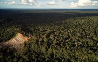 cambios de la Amazonía