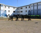 investigación sobre la crisis carcelaria