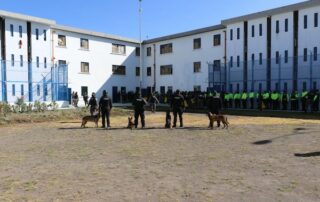 investigación sobre la crisis carcelaria