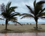 feriado de noviembre de 2021