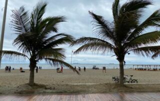 feriado de noviembre de 2021