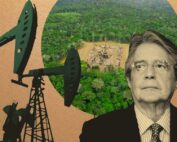 Sigue la explotación del Yasuní