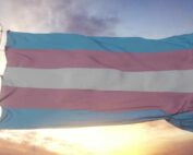 día de la visibilidad trans