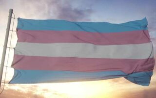 día de la visibilidad trans