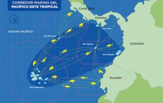 conservación del Corredor Marino del Pacífico