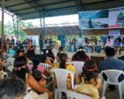 Corte Constitucional