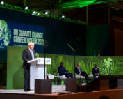 declaración sobre los bosques