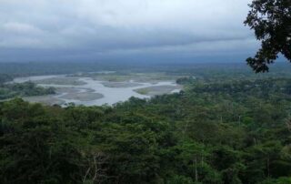 dólares contra deforestación