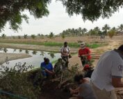 incentivos tributarios verdes