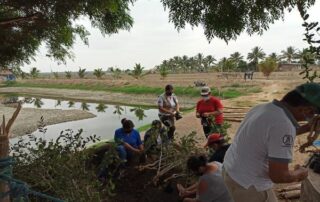 incentivos tributarios verdes