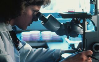 Análisis en microscopio