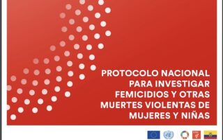 investigación de femicidios