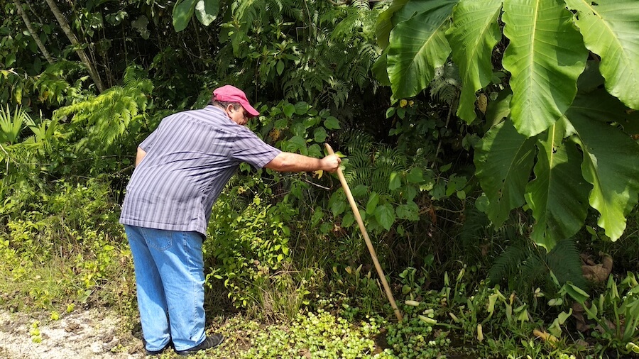 tierra infértil por minería