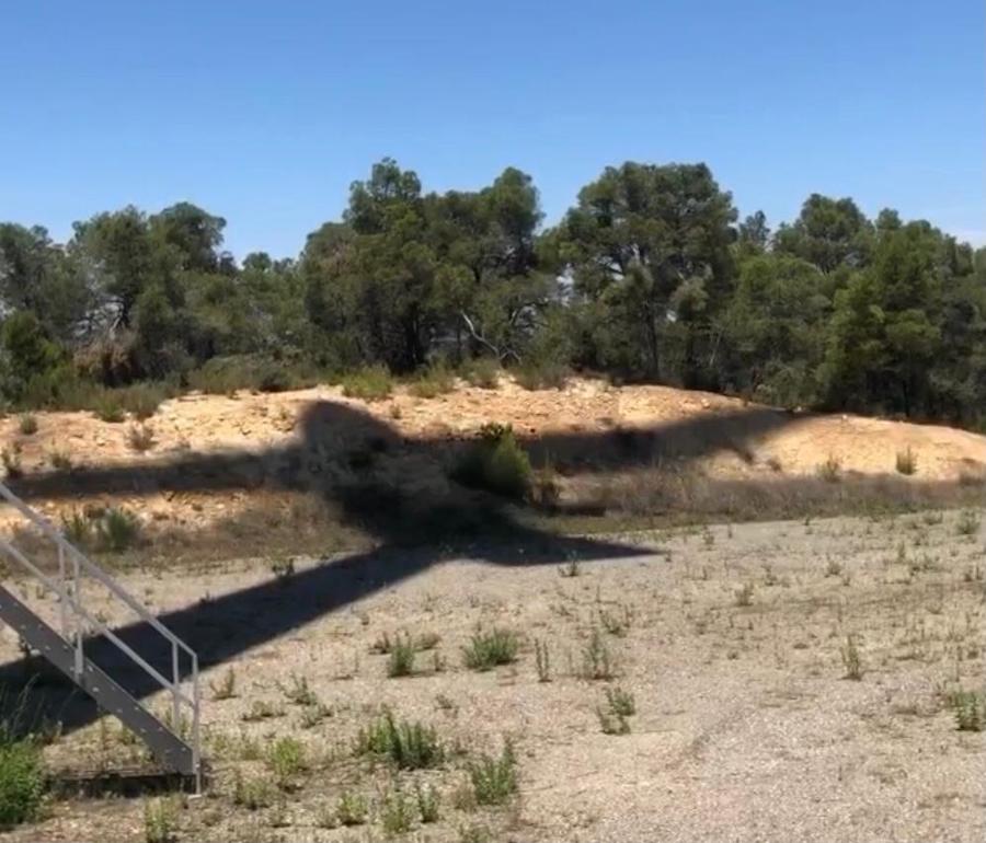 molino de viento