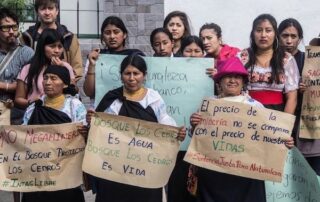 bosque protector los cedros