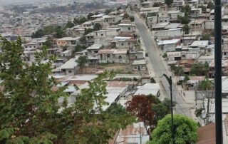 carné de vacunación en Guayaquil