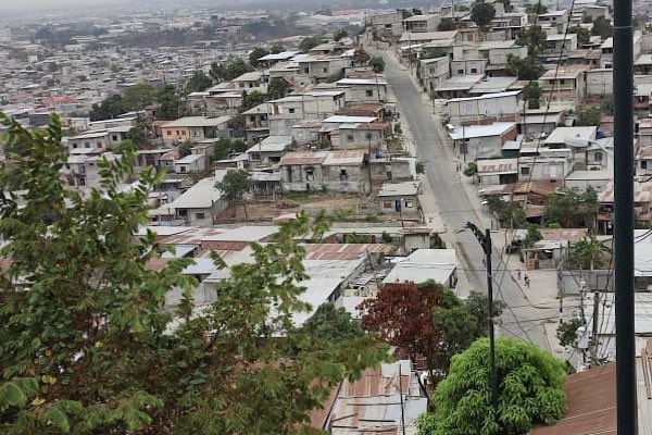 carné de vacunación en Guayaquil