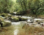 cómo se debe hacer consulta previa a comunidades