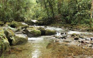 cómo se debe hacer consulta previa a comunidades