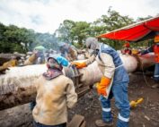 variantes de oleoductos en la Amazonía