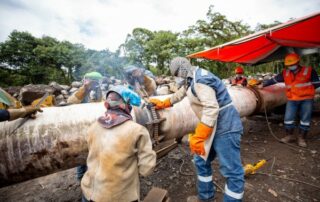 variantes de oleoductos en la Amazonía