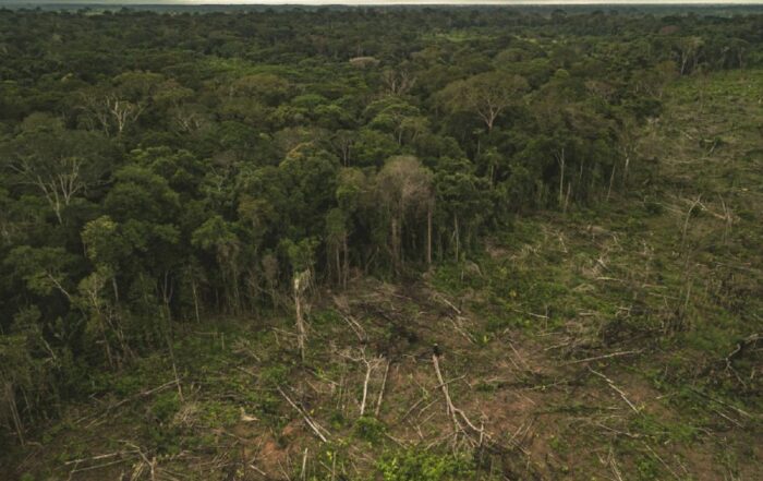 Deforestación en la Amazonía