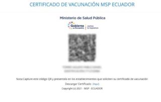 descargar el carné de vacunación