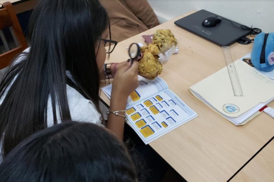 Estudiantes analizan interacciones bióticas de la basura