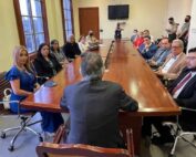 funciones la comisión de pacificación