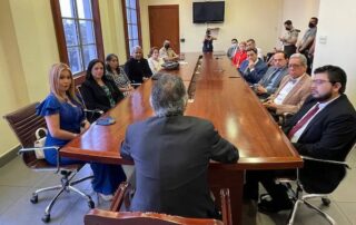 funciones la comisión de pacificación