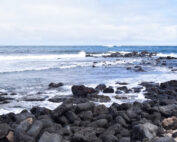 problemas ambientales de Ecuador 2021