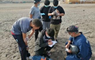 Niños recogen datos sobre basura en las playas