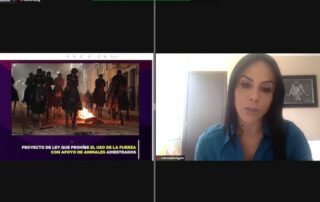 animales adiestrados