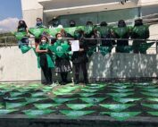 aprobación de la ley del aborto por violación